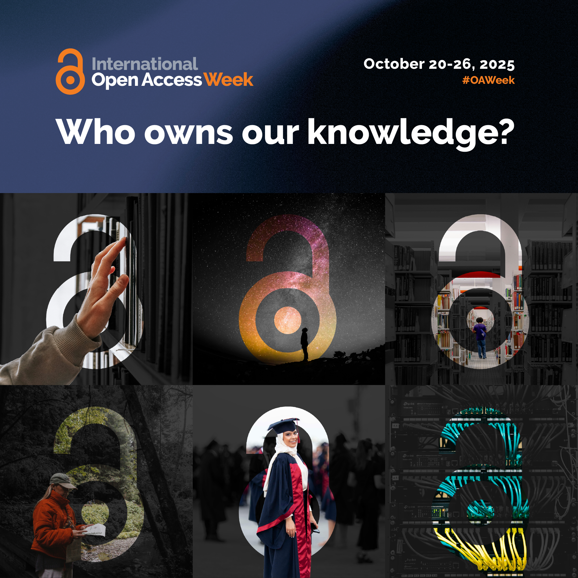 Open Access Logo 2025