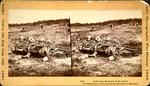 Stereograph showing skeletal remains of Union soldiers, circa 1864. Via Library of Congress.