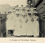 Provident nurses, circa 1907. From "The Neoplasm."