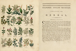 Twenty-four medicinal plants (hand colored). Culpeper’s English Physician, and Complete Herbal, 1794. Via Internet Archive (West Virginia University).