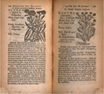 Black salsify or viper’s grass and calendula or common marigold. Histoire des plantes de l’Europe, 1753. Via HathiTrust (Harvard University).
