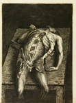 Book 2, plate 9. Engravings, Explaining the Anatomy of the Bones, Muscles, and Joints by John Bell. Via National Library of Medicine.