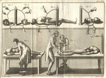 Physician Giovanni Aldini administered electricity to the bodies of newly executed criminals, from his 1804 book. Via the National Library of Medicine.