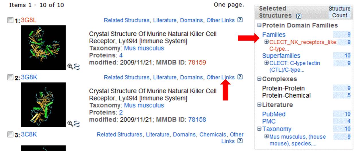 NCBI_structure_search_results
