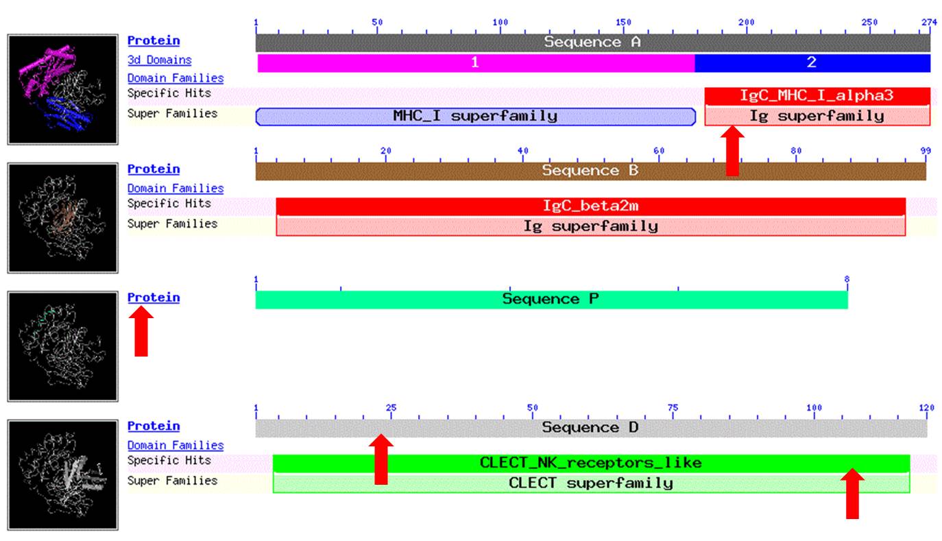 NCBI_structure_domains