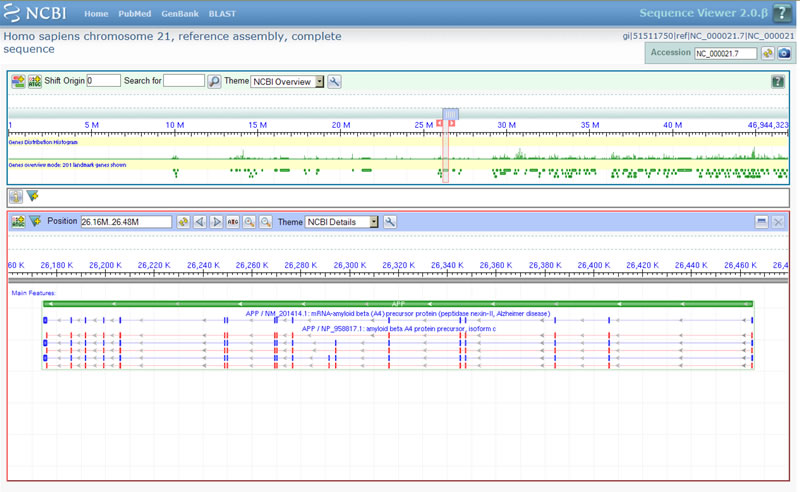 NCBI Sequence Viewer screenshot