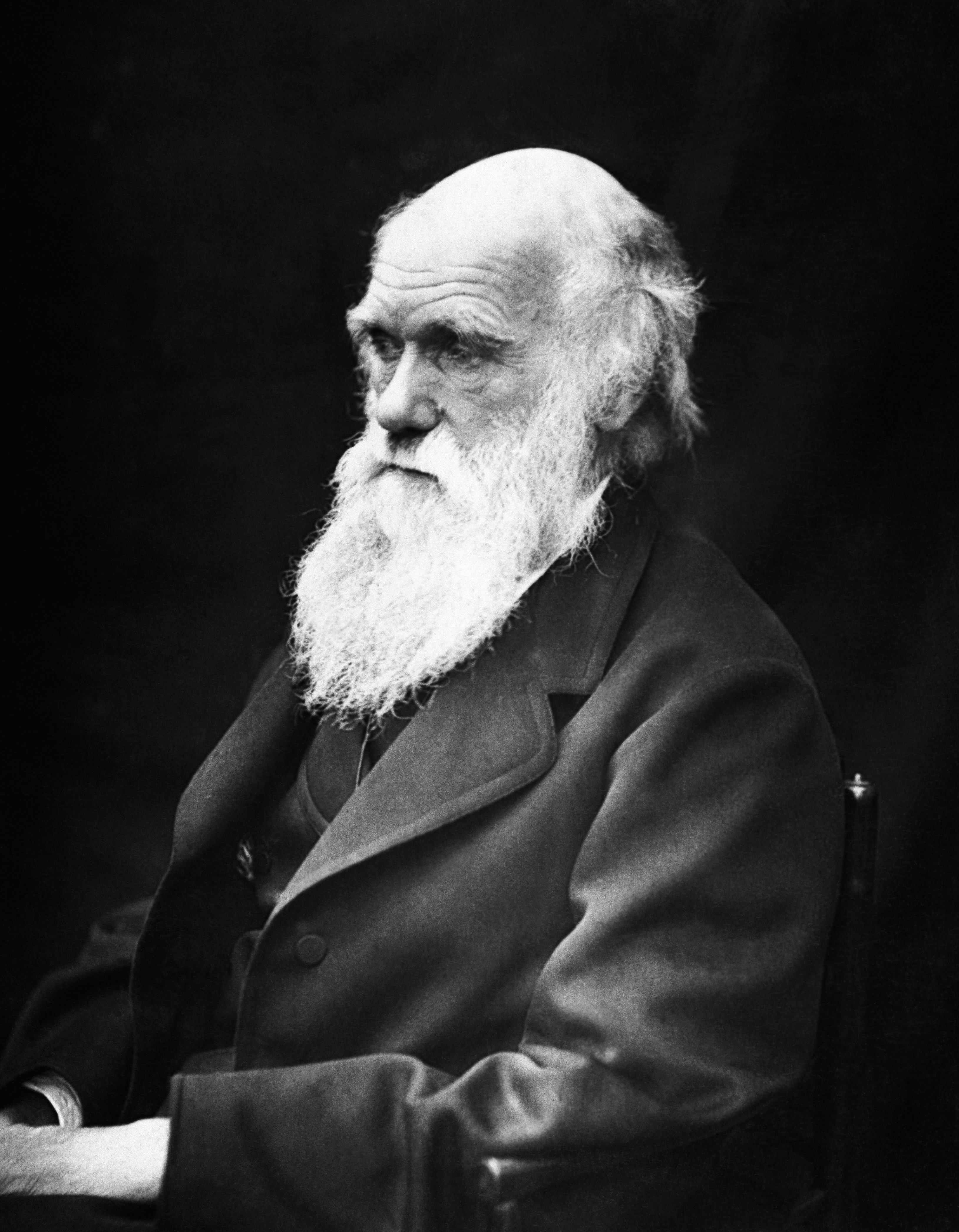 Image of Charles Darwin