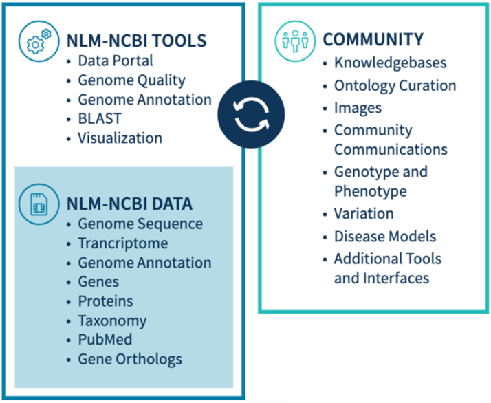 NLM-NCBI Tools, Data, and Community Infographic